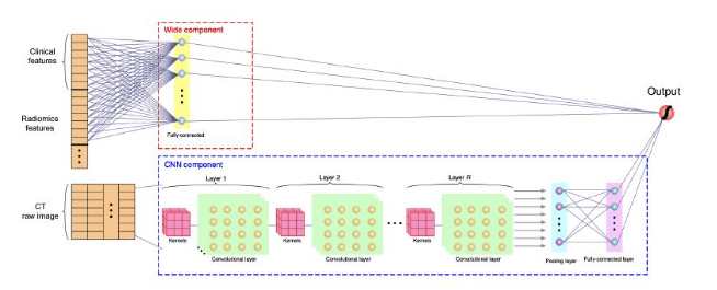 Wide-and-deep survival model architecture diagram